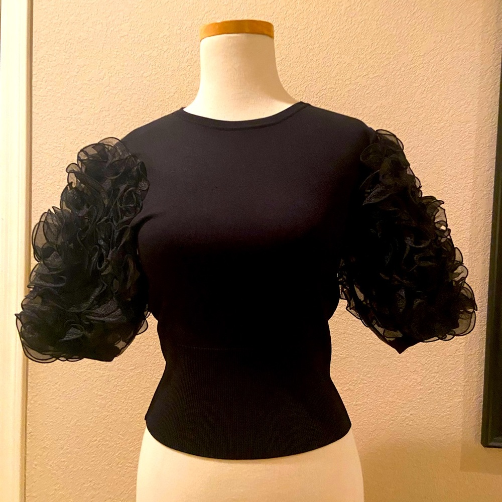 Zara Top, puffed floral banded sleeve.